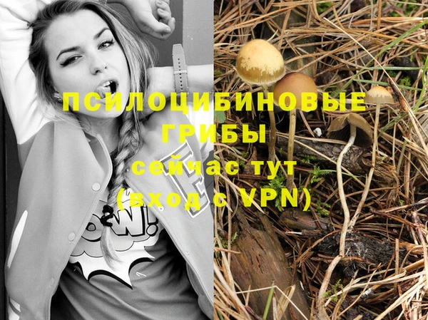 меф Армянск