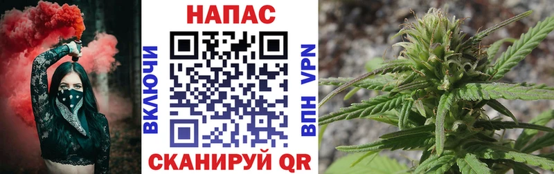 наркота  Старая Купавна  Бошки Шишки конопля 